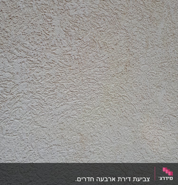 קיר טיח מחוספס בצבע בז